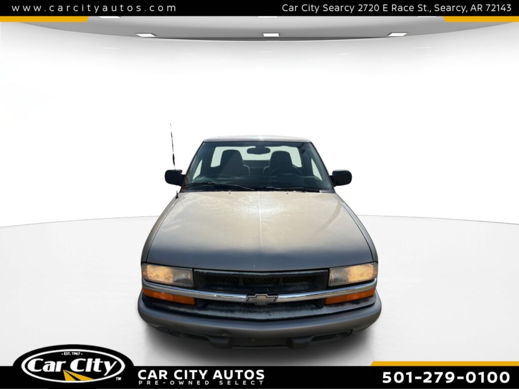 Chevrolet S10 LS Regular Cab -